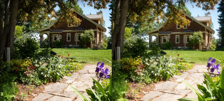 Ricoh GR III HDF Review: Is the HDF Filter Worth It?