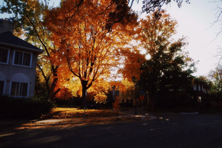 Ricoh GR III HDF Review: Is the HDF Filter Worth It?